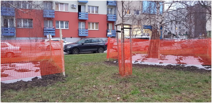 zieleniec przy ul. I. L. Pereca3